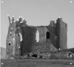 Deformovaný obrázek - hrad