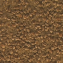 barleyrice002-horizon