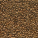 barleyrice005-horizon