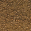 barleyrice006-horizon