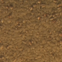 barleyrice007-horizon