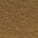 barleyrice009-horizon