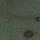 wood010-tl84