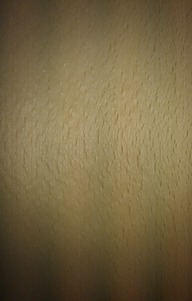 013_beech_nonsteamed_detail