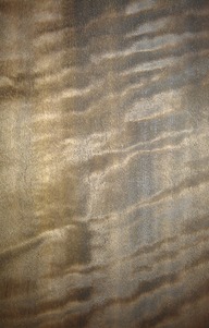 020_eucalyptus_smoke_detail