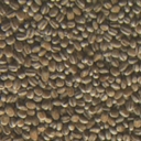 barleyrice010-inca
