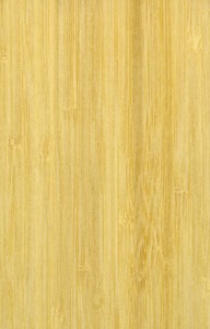 006_bamboo_light_front